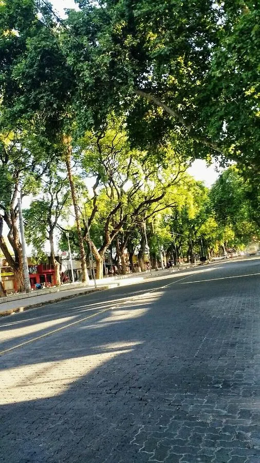 Premium Gold Mendoza Apartment