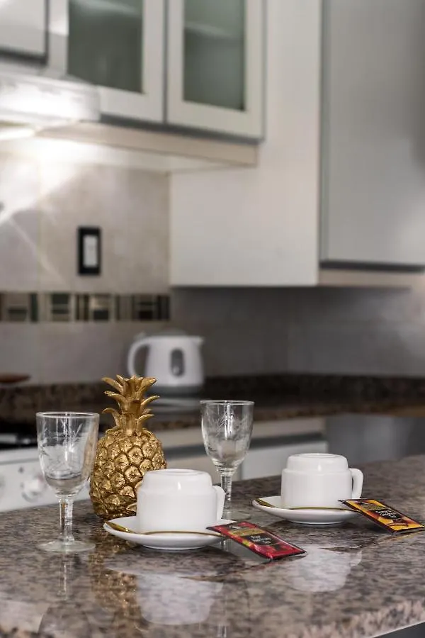 Premium Gold Mendoza Apartment Argentina