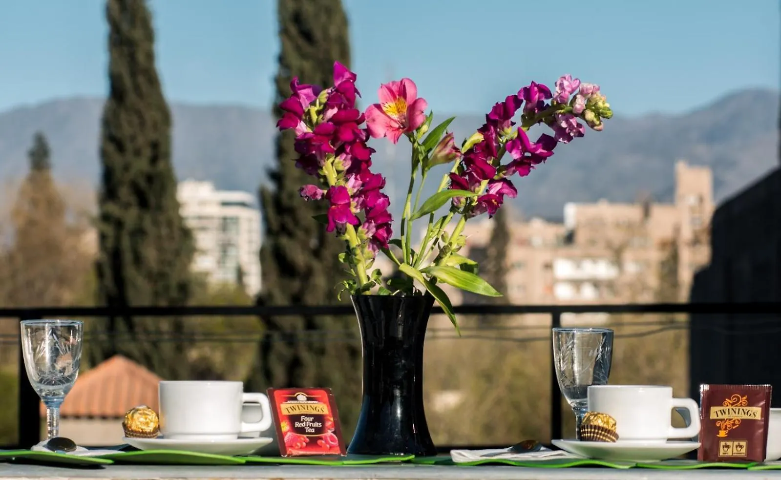 Premium Gold Mendoza Apartment Argentina